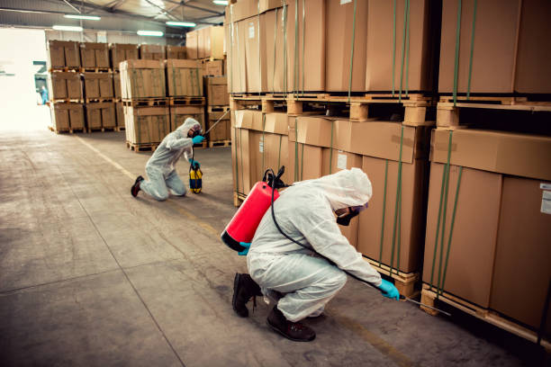 Best Local Pest Control Services  in Greentown, IN