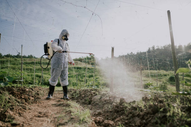 Best Best Pest Control Companies  in Greentown, IN