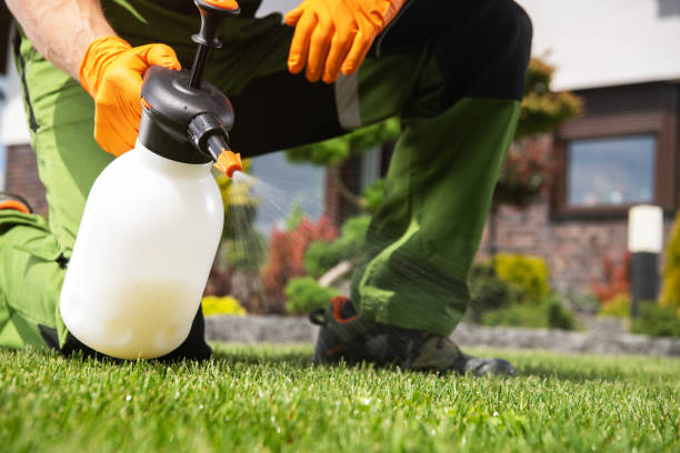 Best Wildlife Control Services  in Greentown, IN