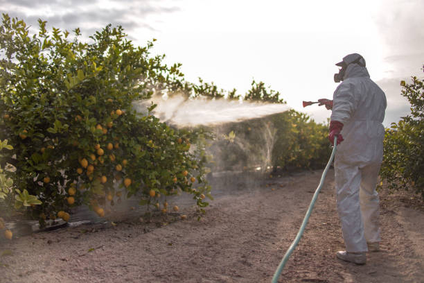 Pest Prevention Services in Greentown, IN