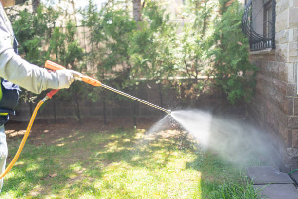 Best Affordable Pest Control Services  in Greentown, IN