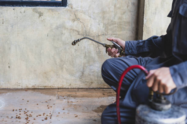Best Pest Control for Businesses  in Greentown, IN